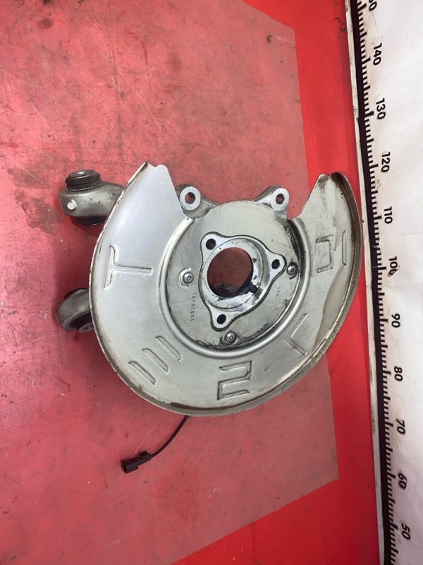 Цапфа задняя левая Model 3 2021 Electro