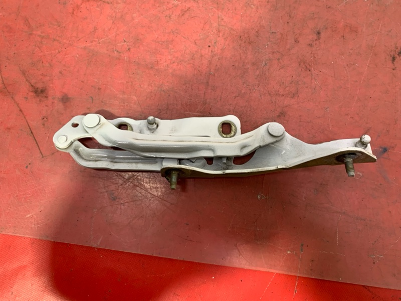 Петля двери багажника правая Model 3 2021 Electro