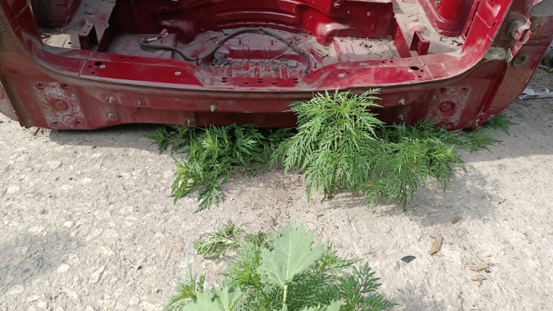 Задняя панель кузова Porsche Cayenne 957 2008 957 M4801 95550130301GRV Б/У