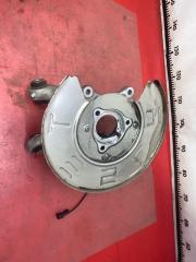 Цапфа задняя левая Model 3 2021 Electro Цапфа задняя левая Model 3 2021 Electro